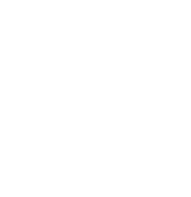 Tatiana Choisy Portfolio - Logo site web